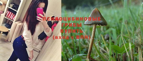 ешки Пересвет