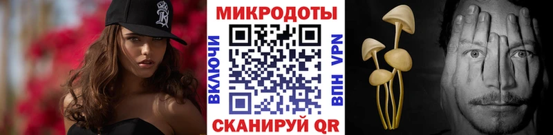 где найти   Звенигово  даркнет какой сайт  Псилоцибиновые грибы Psilocybe 